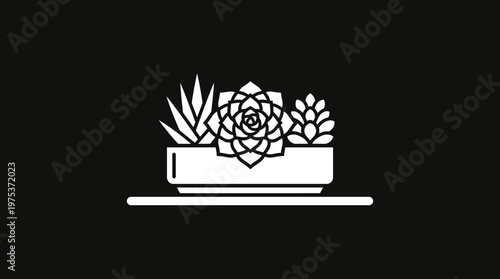 Minimalist Succulents in a Planter on a Shelf