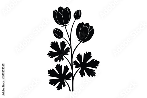 Black silhouette of a columbine plant with blooming flowers buds lobed leaves