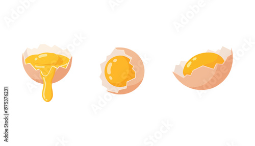 Cracked Egg Set with Yolk Flow Flat Food Illustration