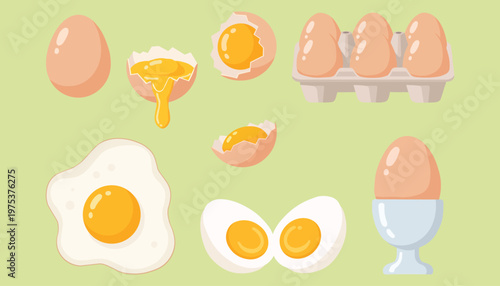 Egg Collection Set Fried Boiled Cracked and Carton Illustration