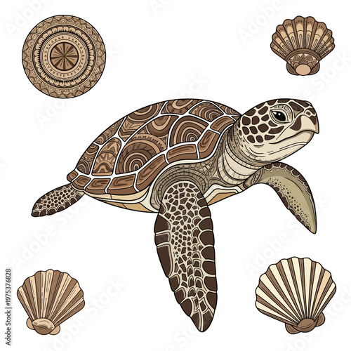 Sea turtle swimming among decorative seashells