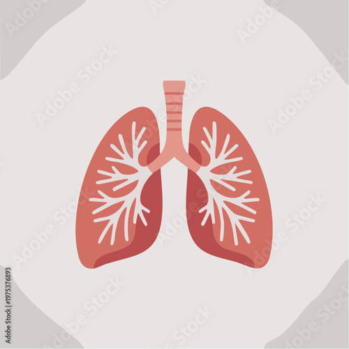 Anatomical illustration of human lungs.