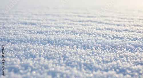 Snow layers cover the ground under a soft winter morning sunlight.