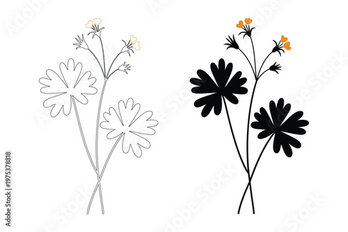Botanical vector illustrations with five-lobed leaves and small orange flowers