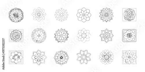 Collection of delicate hand drawn floral and geometric sketches on white