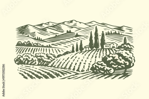 A vintage illustration of a hillside farmhouse amidst rolling vineyards