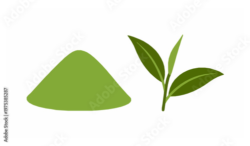Matcha Green Tea Powder and Leaf Flat Vector Illustration