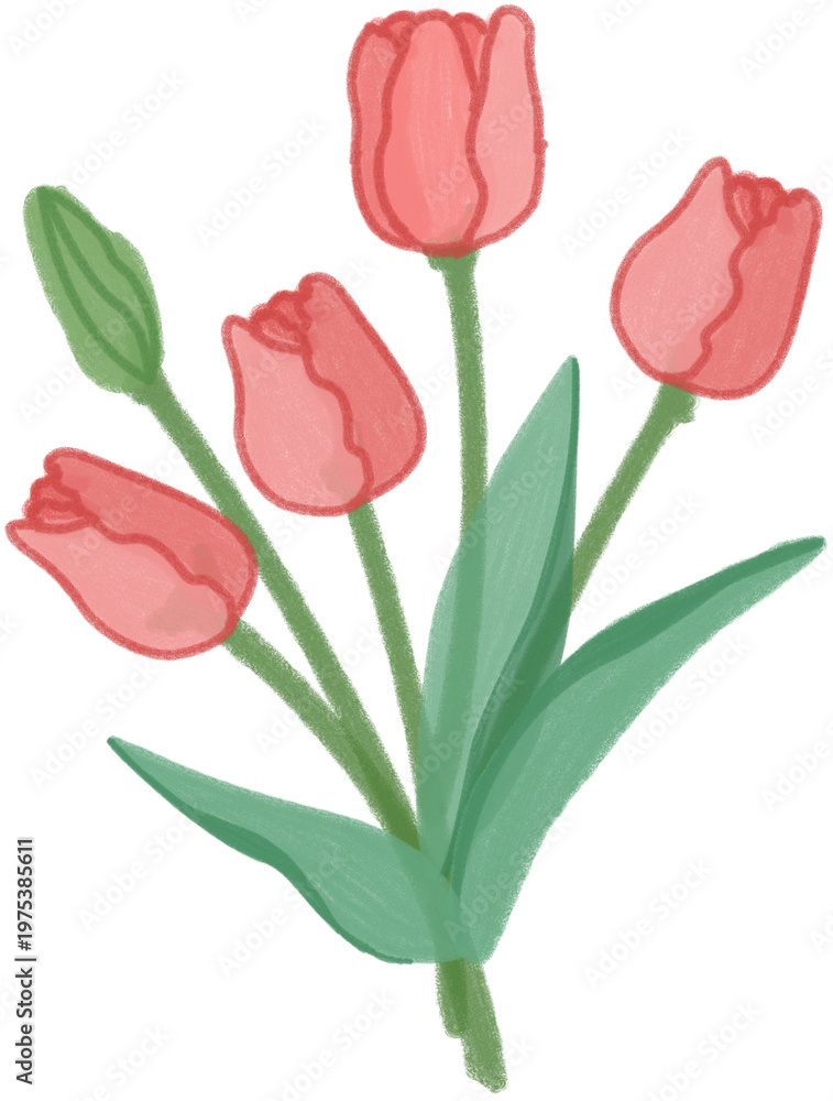 Obraz premium Hand Drawn Floral Bouquet with Tulips, Minimal Botanical Style