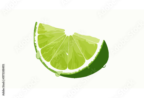 Realistic lime wedge slice vector with detailed pulp and fresh juice isolated on white background
