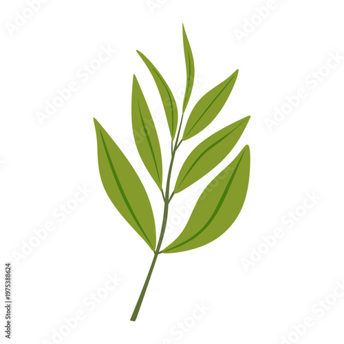 Tea Tree Branch Skincare Botany Concept Flat Vector