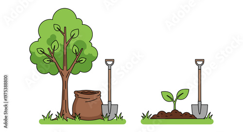 Growth stages of a plant from seedling to mature tree with gardening tools symbolizing nature's cycle and horticultural