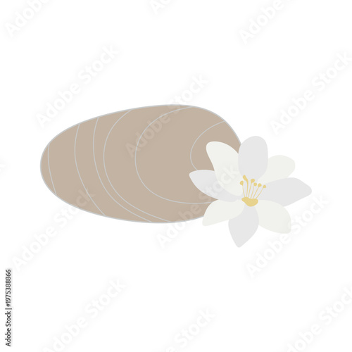 Spa Wellness Massage Stones Flat Vector Illustration