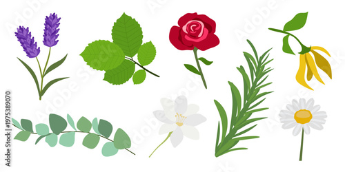 Calming Plants Wellness Rel...
