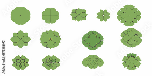 Aerial view of various green tree canopy shapes and sizes