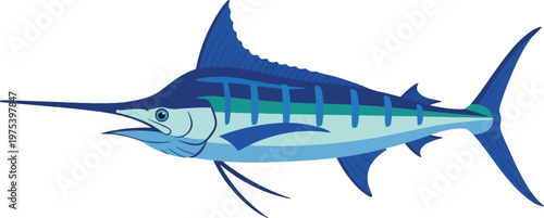 Blue Marlin Swordfish Isolated Object Vector Graphic Illustration