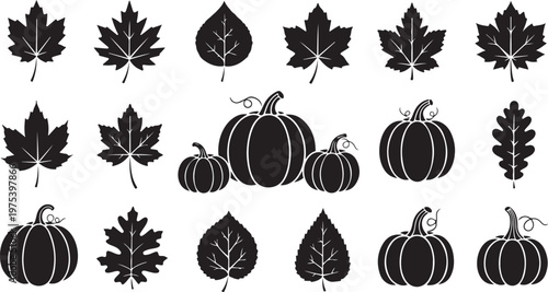 Black and white illustration of pumpkins and fall leaves