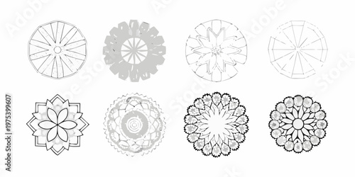 Eight radial designs resembling diatoms or microscopic organisms