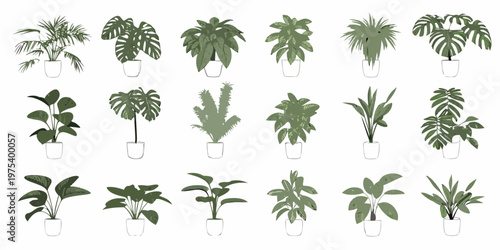 Assorted potted houseplants in a minimalist illustrative style arrangement