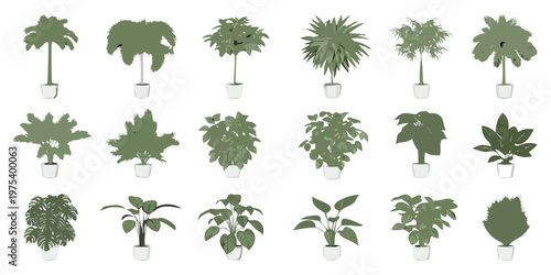 Collection of potted indoor plants in varying shades of green