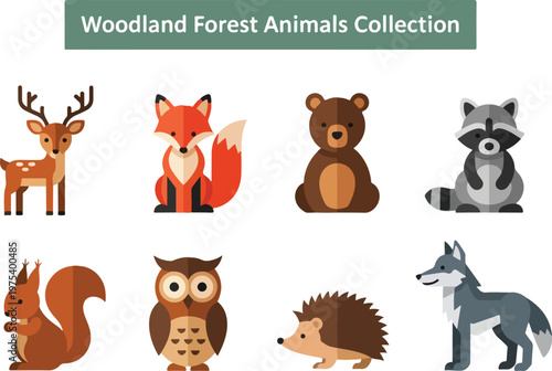 Woodland Forest Animals Collection Cute Cartoon Illustrations of Wildlife Creatures
