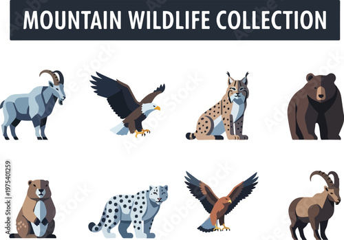 Mountain Wildlife Collection Featuring Diverse Animals from Alpine Environments and Wilderness