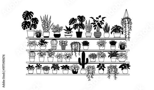 Black and white house plants on shelf with ceramic pots large vector set indoor decor illustration