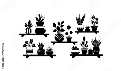 Modern abstract black and white house plants on shelf with ceramic pots vector illustration set