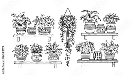 Black and white indoor plants on wall shelves with decorative pots detailed line art vector set
