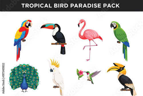 Exotic Tropical Birds Collection Vibrant Parrots, Flamingos, Peacocks, and Toucans in Artistic Illustrations