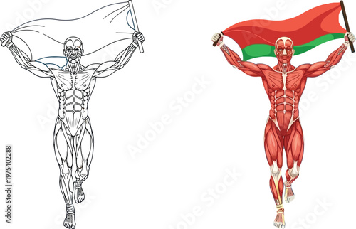 Two illustrations of a running human muscular system, one in black and white holding a blank flag, the other colored holding a red and green flag.