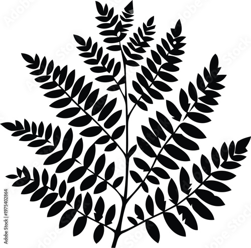 Black fern leaf silhouette intricate detailed plant frond isolated on transparent background nature botanical element illustration