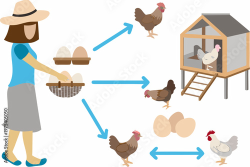 A farmer collects eggs from chickens and a henhouse diagram
