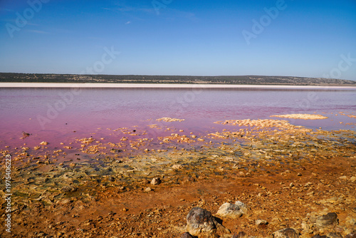 Hutt Lagoon pink salt lake shore crusted salt formations and vibrant magenta water under blue sky