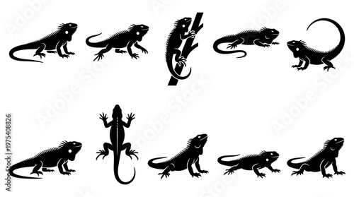 10 Iguana Silhouette Vector Pack – Minimalist Exotic Reptile SVG Collection