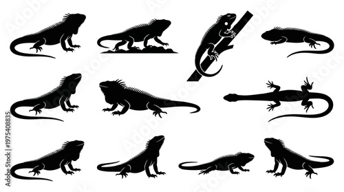 10 Iguana Silhouette Vector Pack – Minimalist Exotic Reptile SVG Collection