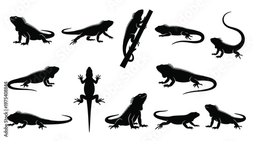 10 Iguana Silhouette Vector Pack – Minimalist Exotic Reptile SVG Collection