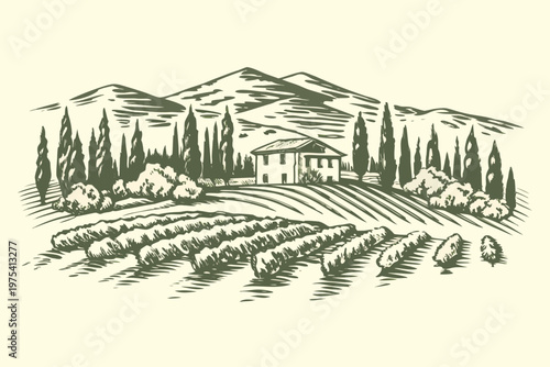 A scenic landscape featuring a farmhouse amidst rolling vineyard fields