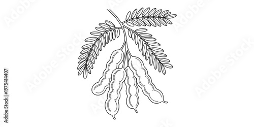 A continuous line drawing of a woman in a bikini standing by the ocean during a sunset scenery. Vector, illustration