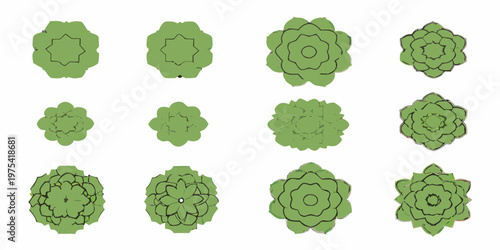 A collection of green stylized succulent plant top down views