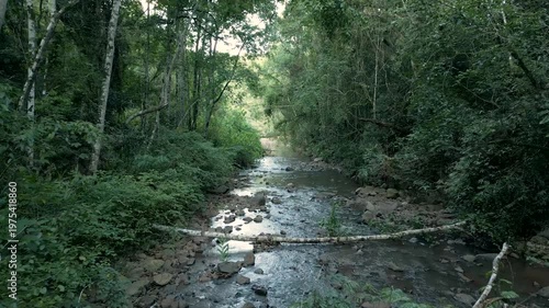 A rocky stream in the middle of a forest. 