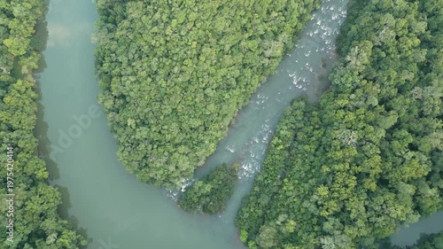 Confluence of rivers in the middle of the forest. Turquoise. Zenithal. 