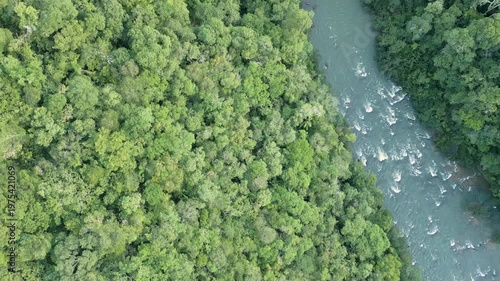 A turbulent river among trees on a sunny day. Drone footage. 