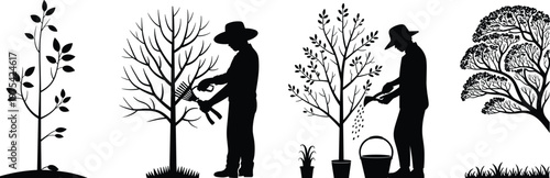 Gardener tree care silhouettes vector, pruning and watering plants illustration, landscaping maintenance concept, nature gardening design elements