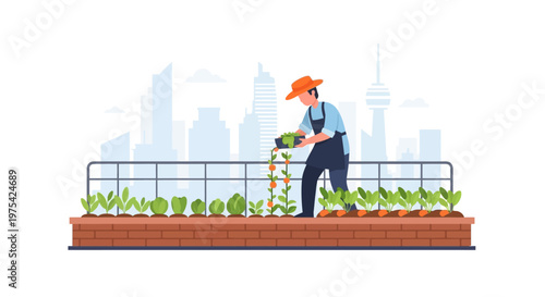 A male gardener working on a rooftop vegetable garden. EPS Editable. Vector Illustrations.