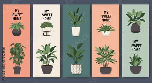 Set of vertical banners displaying various indoor houseplants in decorative pots with the phrase my sweet home on colored backgrounds.