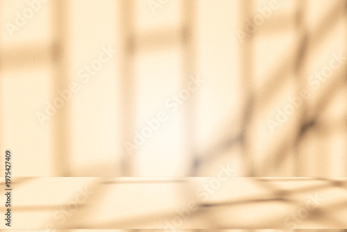 Cuadro en lienzo Wall interior autumn background, studio, and backdrops show products