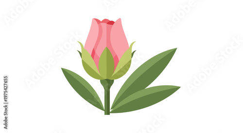 A single pink rose bud with green leaves isolated on white background. EPS Editable. Vector Illustrations.