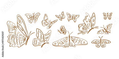 Kid Crayon hand drawn Butterfly doodle Set. outline Insect elements on yellow background for print and sticker design.