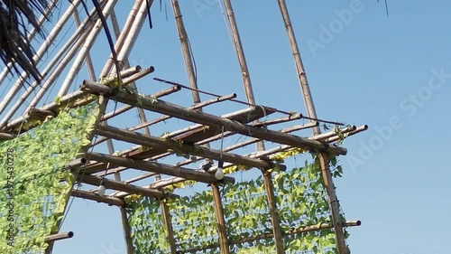 Wooden Bamboo Gazebo Structure with Hanging Light Bulbs and Green Leaf Decorations