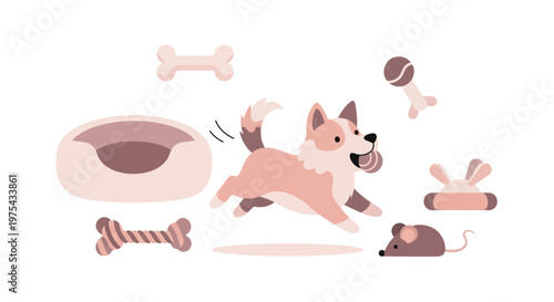 Cute corgi dog jumping and playing with pet accessories. EPS Editable. Vector Illustrations.
